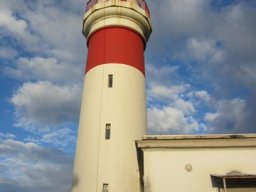 Visite de la petite cousine !